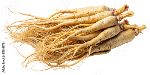 Fresh Ginseng Roots, Transparent Background