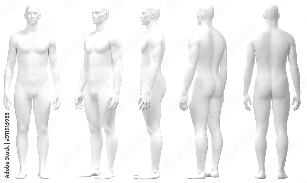 Male 3D Model in Various Poses, Male Body Mannequin