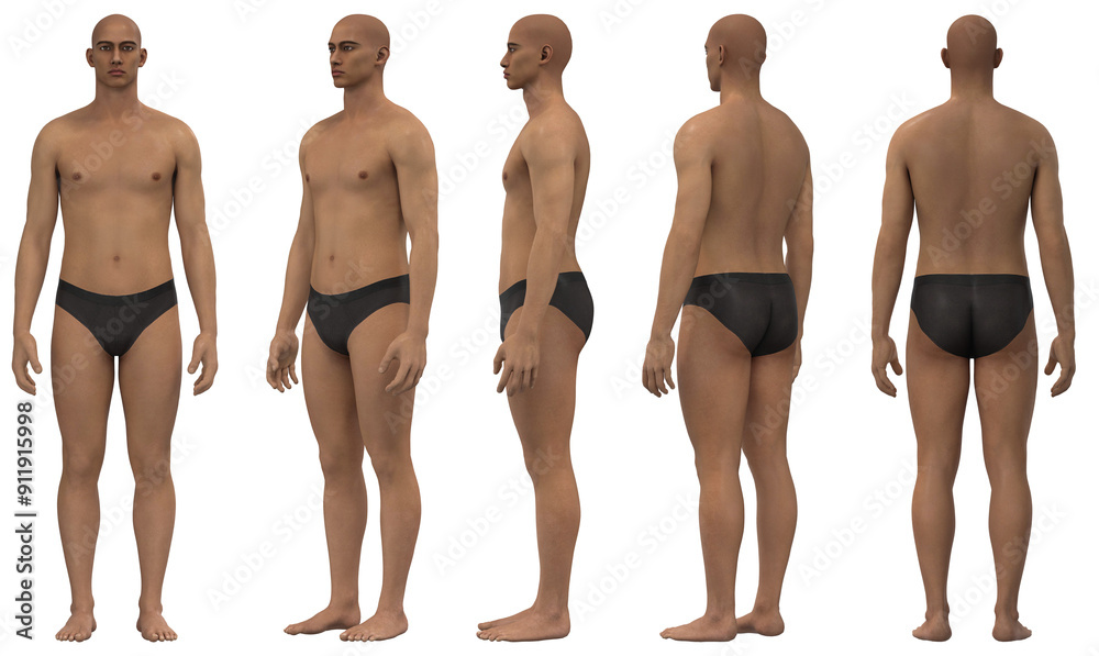 Male 3D Model in Various Poses, Male Body Mannequin
