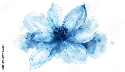 Blue poppy flower isolated on white background.