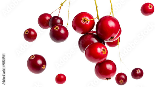 Falling cranberry isolated on white background, full depth of field..