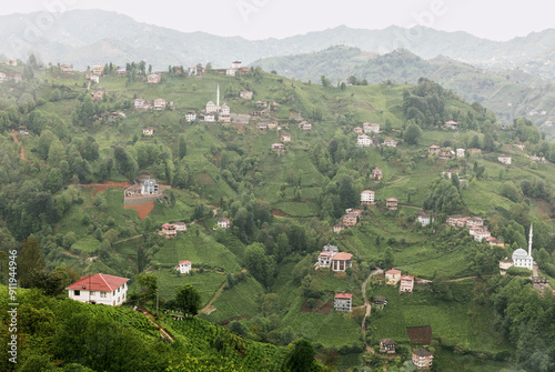 Scenic View of Karadeniz Village and Tea Fields
 photo