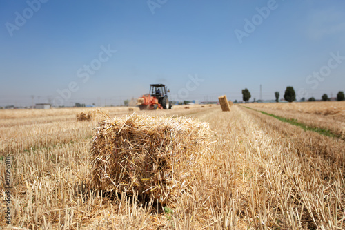Wheat straw is mechanically baled into bales in a wheat field after harvest