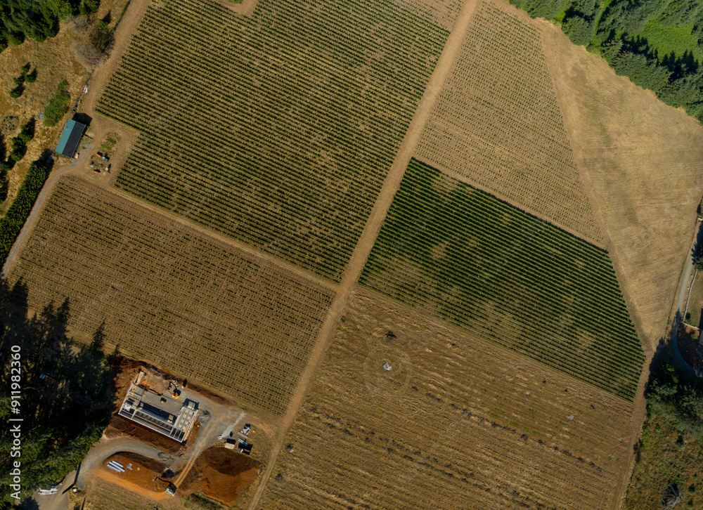 Geometric farm fields aerial view. Topography, maps, ecology, environmental protection.