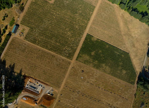 Obraz na płótnie Geometric farm fields aerial view. Topography, maps, ecology, environmental protection. w salonie