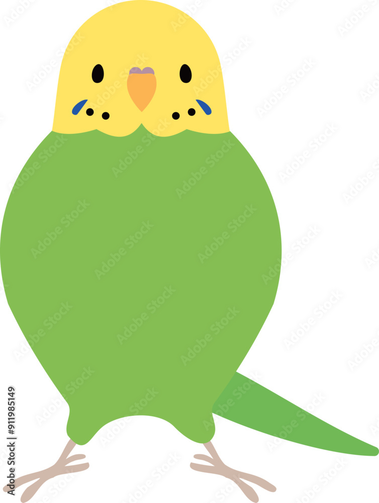 Fototapeta premium セキセイインコ