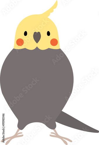 オカメインコ