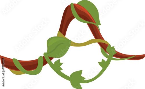 Liana branch forming the letter a with its woody stem and its green leaves