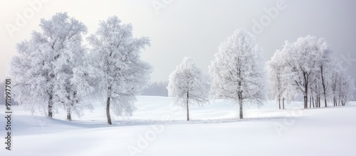 Snowy Landscape with Frosted Trees