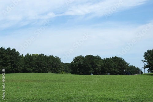 芝生が敷き詰められた広場の風景