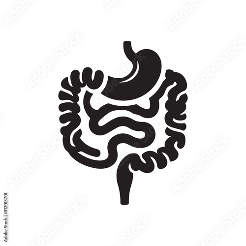 Intestines silhouette vector icon , Human Digestive System icon,