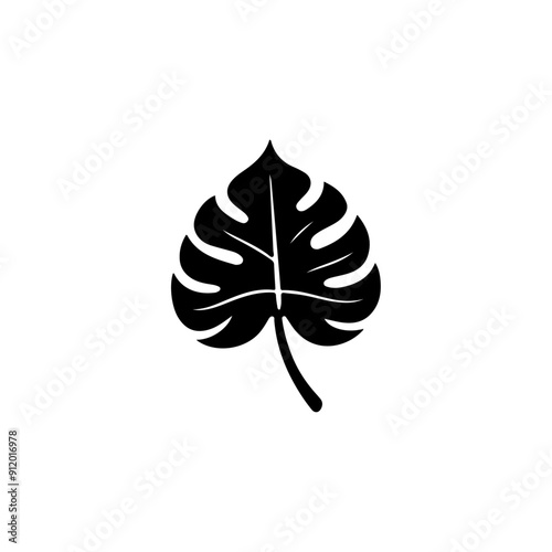 Monstera leaf sillhouette illustration.