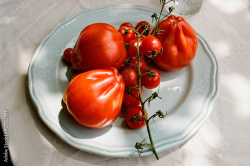 Italian tomatos photo