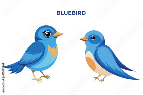 Beautiful Bluebird on white background vector illustration 