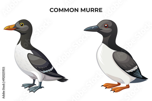 Beautiful Common Murre bird on white background vector illustration 