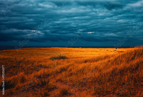 Golden Grass, Dramatic Sky