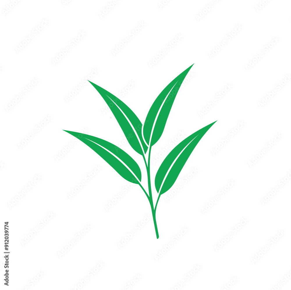 illustration of eucalyptus oil leaf, vector art. illustration of eucalyptus oil leaf, vector art.