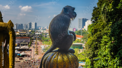 Photography The monkey is sitting on a gilded knob