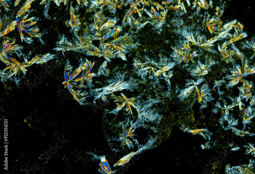 Vitamin B2 crystals under a microscope