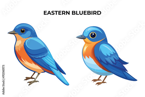 Beautiful Eastern Bluebird on white background vector illustration 