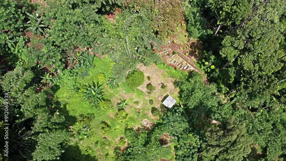Tomb of Joyokusumo, Mount Pati, Semarang, Indonesia. Aerial view of a lush green landscape featuring dense trees, shrubs, and a small clearing with a structure. Tomb of Joyokusumo, Mount Pati, Semarang, Indonesia. Aerial view of a lush green landscape featuring dense trees, shrubs, and a small clearing with a structure.