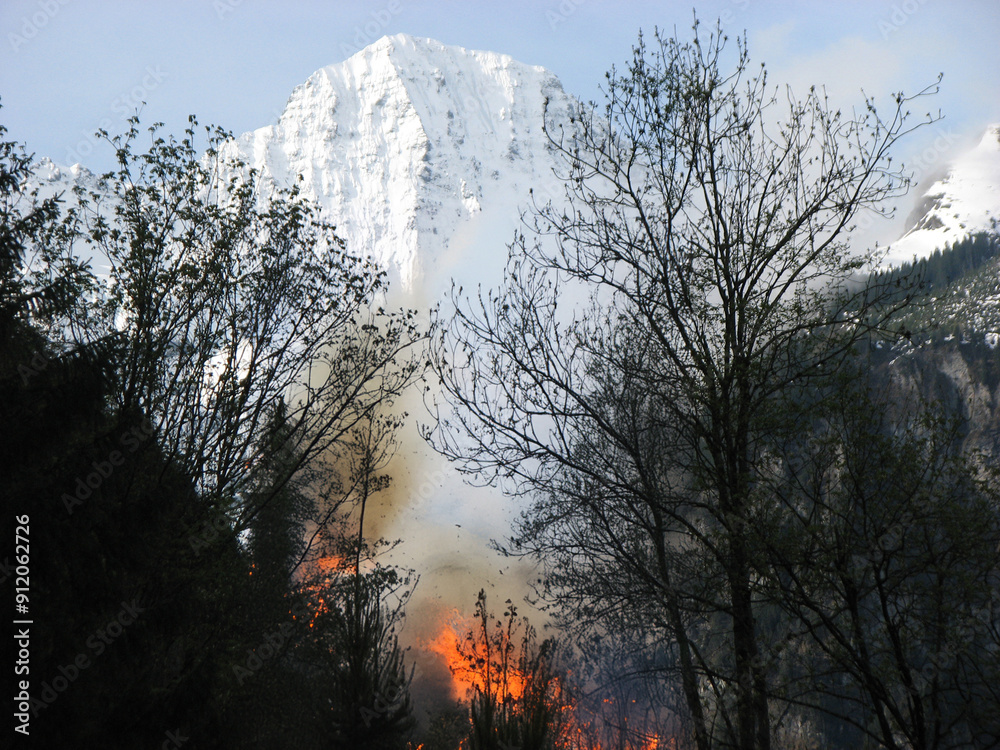 Forest on Fire