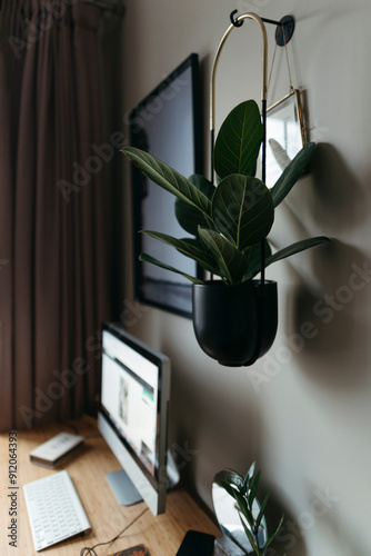 Hanging Plant in Modern Office photo