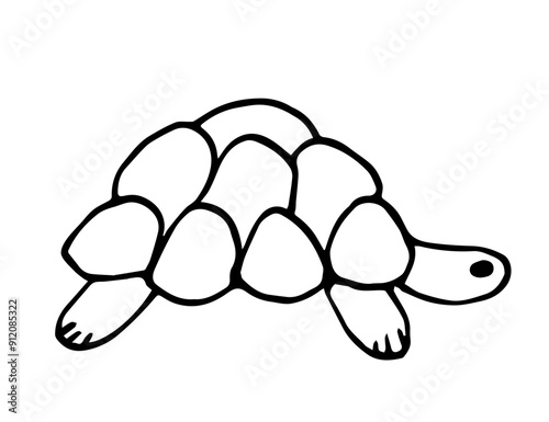 Simple vector drawing with black outline. Small turtle, amphibian animals, shell. Nature, zoo. Sketch in ink.