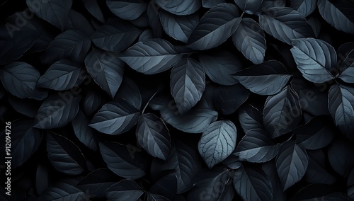 Dark and Moody Leaves: A Close-Up Look at the Intricate Details of Nature's Beauty