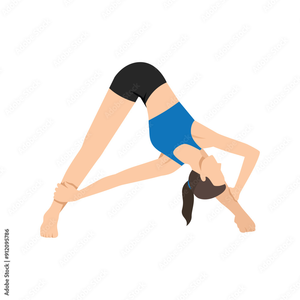 Woman doing Revolved Wide Angle Forward Bend or Parivrtta Prasarita Padottanasana. Flat vector illustration isolated on white background Woman doing Revolved Wide Angle Forward Bend or Parivrtta Prasarita Padottanasana. Flat vector illustration isolated on white background