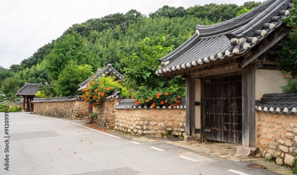 함평 모평한옥마을 골목길 담장에 핀 능소화 함평 모평한옥마을 골목길 담장에 핀 능소화