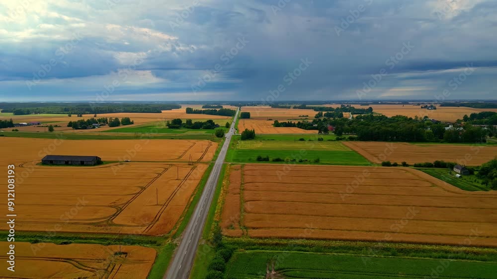 Agriculture wheat cereal plant yellow field, crop cultivated farm land, aerial Agriculture wheat cereal plant yellow field, crop cultivated farm land, aerial