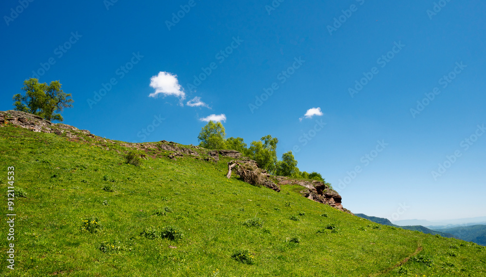 Hillside under clear blue sky with trees and rocks. Hillside under clear blue sky with trees and rocks.