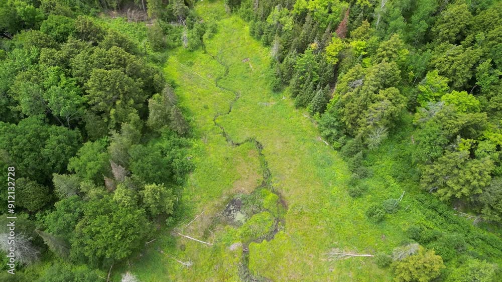 Aerial descent view of meandering river along lush green forested meadow Aerial descent view of meandering river along lush green forested meadow