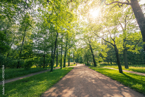 A path in a park with trees and a bench