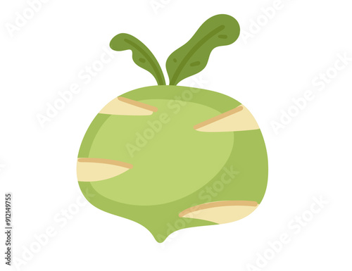 Green kohlrabi cabbage. Suitable for organic farming, healthy eating visuals, and vegetable market ads. Ripe vegetable plant with leaves. Vector illustration isolated on white background