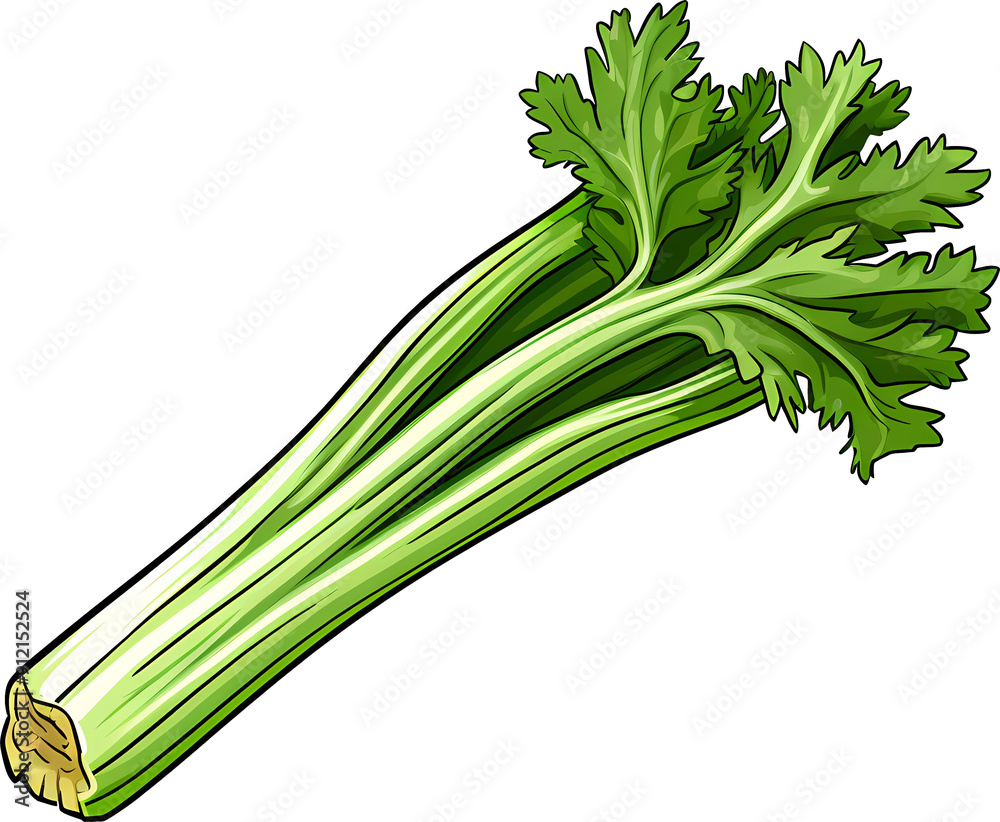 Fototapeta premium celery