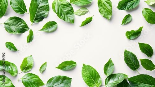 Eco-friendly idea featuring foliage on a white backdrop.