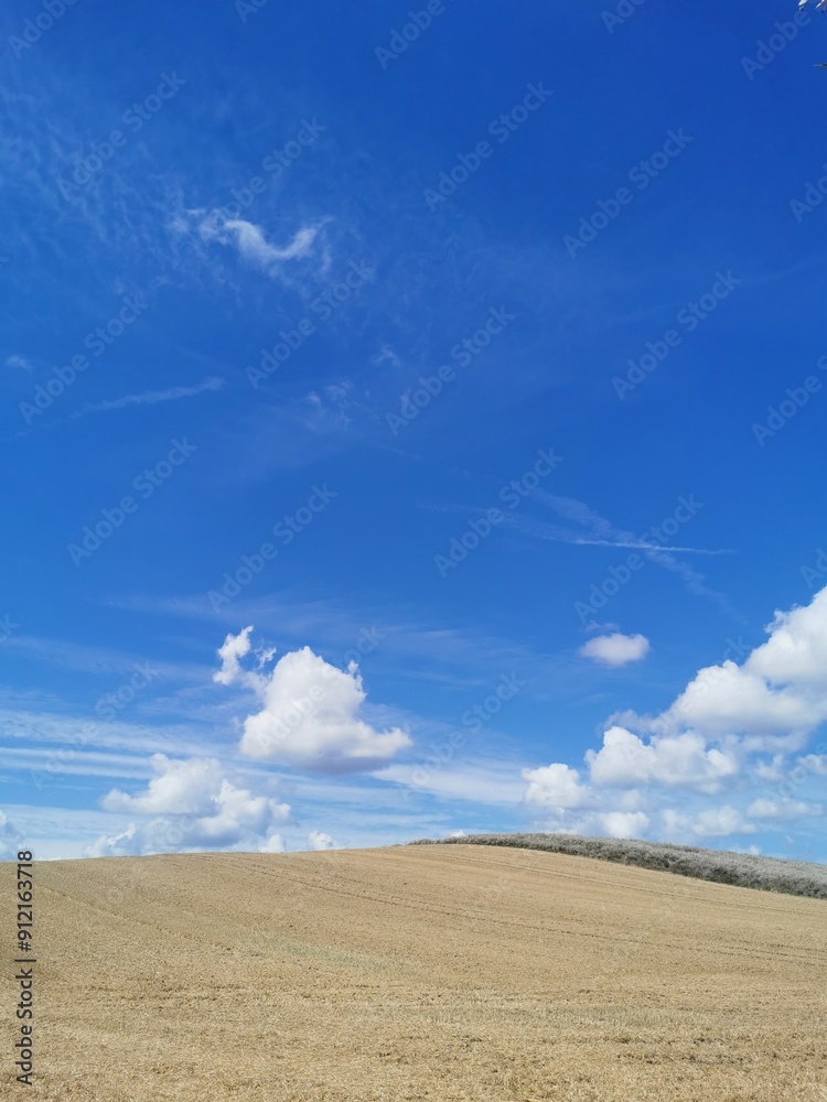 Fototapeta premium A harvested field with a blue sky in the background in north Germany between Rostock and Schwaan, close to the Warnow river