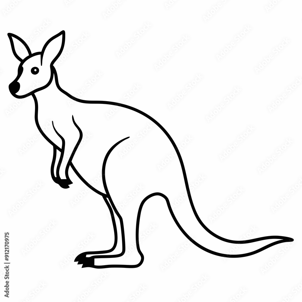 kangaroo vector illustration kangaroo vector illustration