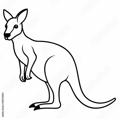 illustration of a kangaroo