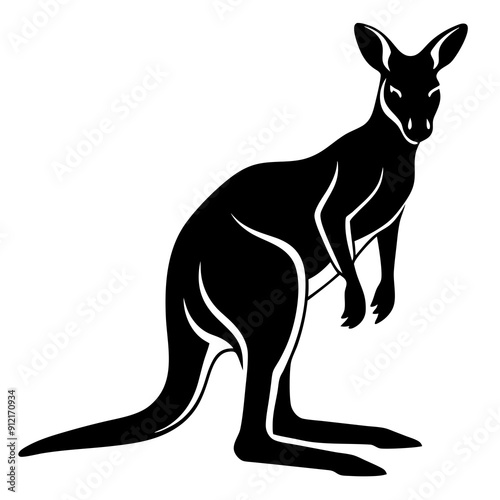 kangaroo vector illustration