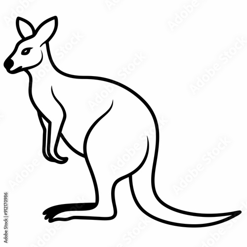 kangaroo illustration