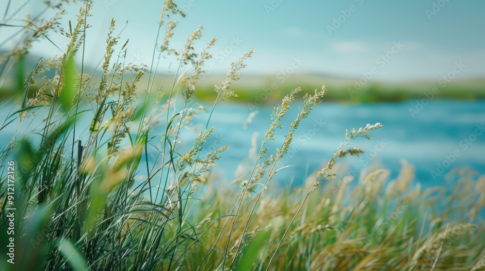 Serene Riverbank with Tall Grass Serene Riverbank with Tall Grass