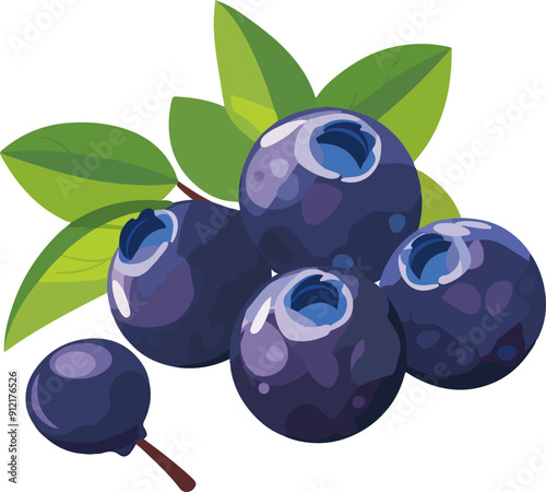 Blueberry clipart desing illustration