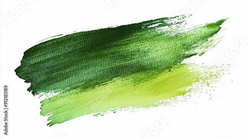 green paint brush strokes watercolor isolated