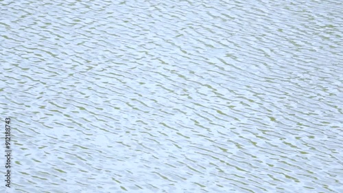lake water moving in waves by the wind