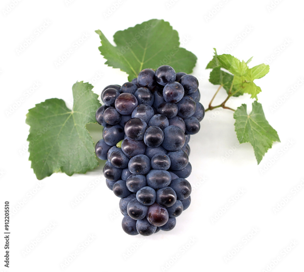 Fototapeta premium Pinot Noir grape with leaves on white background