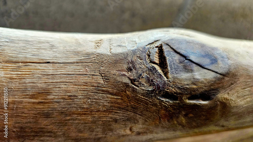 Detailed view of a weathered wood featuring prominent knots and natural texture in the wood