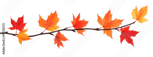 autumn maple leaves isolated on white transparent background. cut out